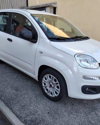 FIAT Panda 1.2 pop 4 CILINDRI-EURO6B-PREZZO REAL