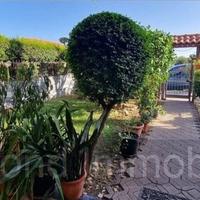 Villetta a schiera 280mq a Mascali