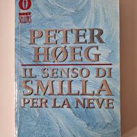 Il senso di Smilla per la neve