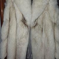 pelliccia volpe Groenlandia 