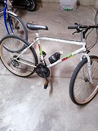 Bicicletta mountain bike 24