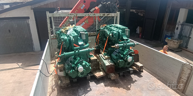 Coppia VOLVOPENTA 310 hp diesel