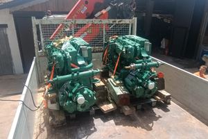 Coppia VOLVOPENTA 310 hp diesel