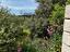 Immagine 11