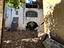 Immagine 26