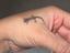 Immagine 2