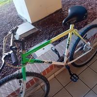 Bicicletta