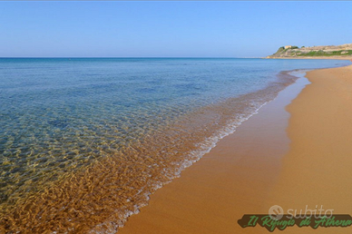 Quadrivani a triscinamare