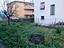 Immagine 10