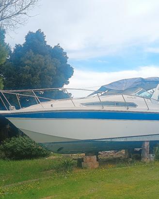 barca cabinata Thompson Santa Cruz 31 cruiser 