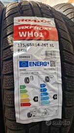 Gomme invernali Roadx retrostante WH01 175 65 R14 