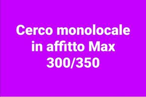 C.e.r.c.o monolocale