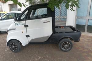PIAGGIO Porter NP6 RUNHORSE MINI TRUK ELETTRICO