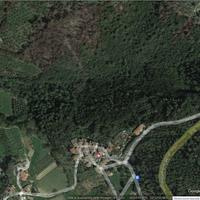 Taglio bosco