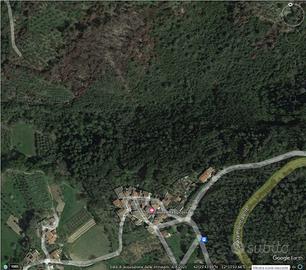 Taglio bosco