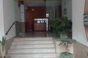 Studentesse