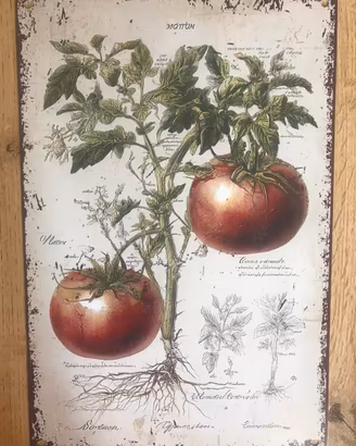 Targa metallo 20x30 cm