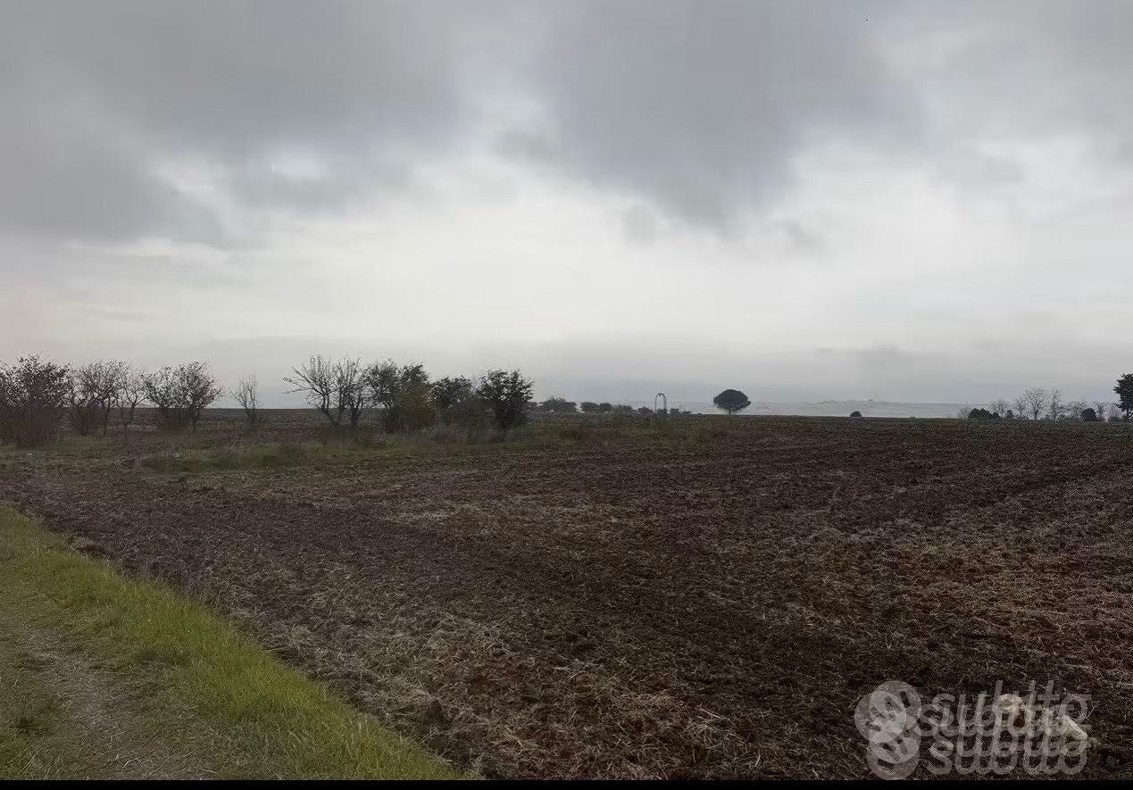 Terreno con pozzo (edificabile) - Vista 4