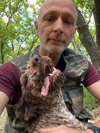 Lagotto romagnolo