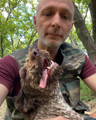 Lagotto romagnolo