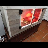 Teca per tartarughe o rettili