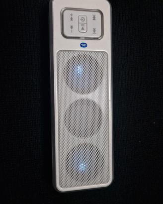 cassa bluetooth peavey 