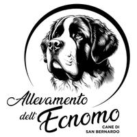 Cuccioli di San Bernardo