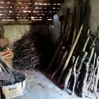 legna da ardere e da tagliare