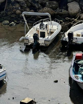 Barca a motore 5 metri