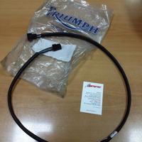 Cablaggio alternatore triumph 955 Speed daytona
