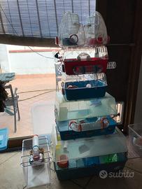 Lotto Gabbie Ferplast criceti/roditori