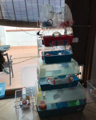 Lotto Gabbie Ferplast criceti/roditori