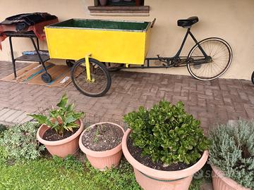 triciclo da lavoro