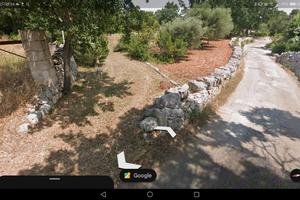 Terreno agricolo con ulivi ostuni