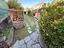 Immagine 19