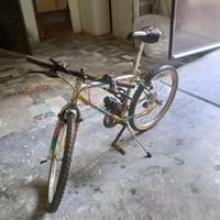 MOUNTAIN BIKE 24”