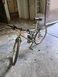 MOUNTAIN BIKE 24”