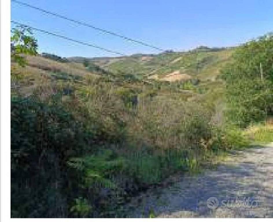 Immobile in asta di 85145 m² a Ripatransone - Altro