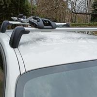 Portabici da tetto Thule 