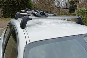 Portabici da tetto Thule 