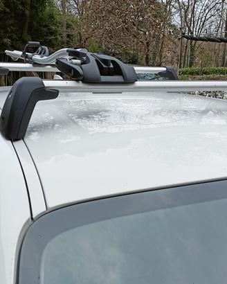 Portabici da tetto Thule 