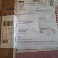 pistoni letto contenitore