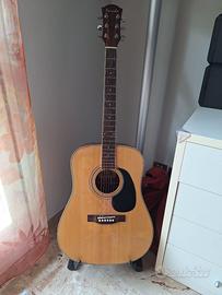Chitarra Acustica Farida Dreadnought