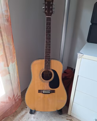 Chitarra Acustica Farida Dreadnought