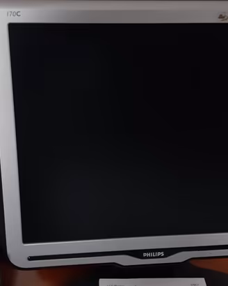 Monitor Pc Philips 17 pollici