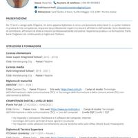 Data encoder, Web developer