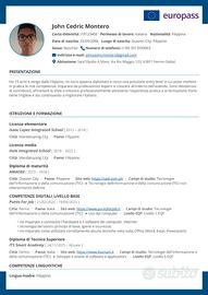 Data encoder, Web developer