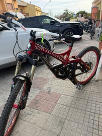 Bicicletta Specialized