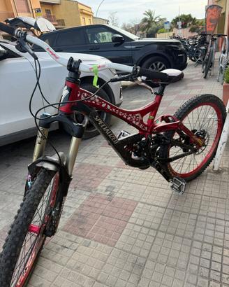 Bicicletta Specialized