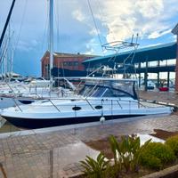 Faeton open 980 con yanmar da 315